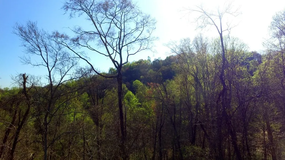 331 Chestnut Ridge Walland, TN 37886