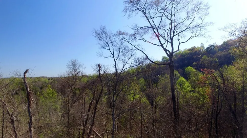 331 Chestnut Ridge Walland, TN 37886