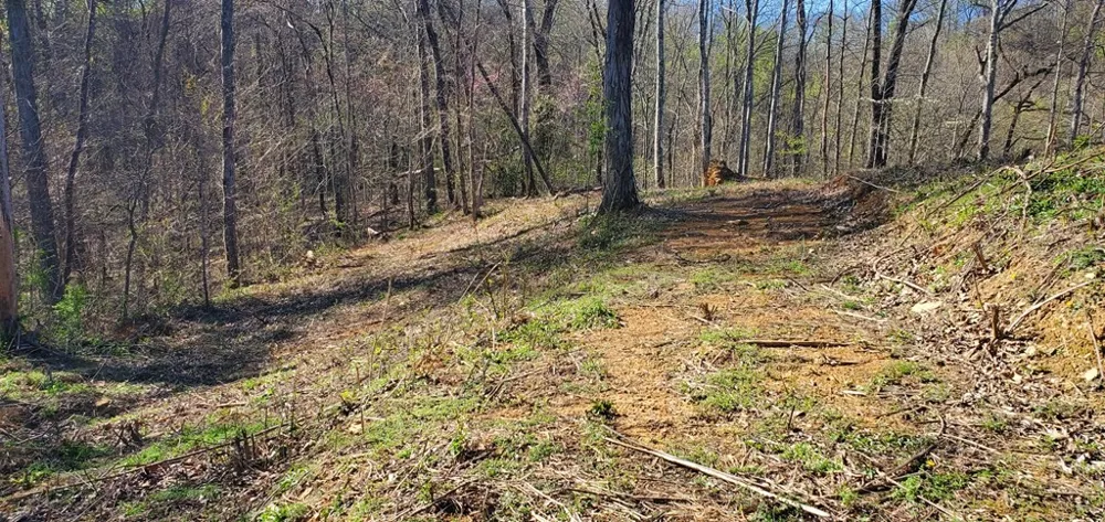 331 Chestnut Ridge Walland, TN 37886