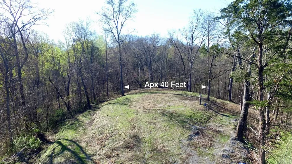 331 Chestnut Ridge Walland, TN 37886