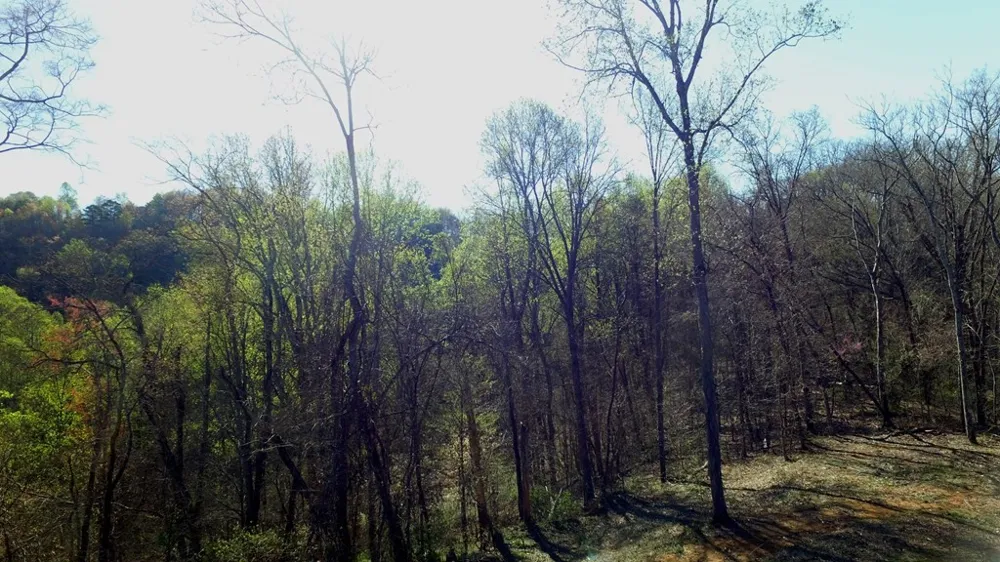 331 Chestnut Ridge Walland, TN 37886