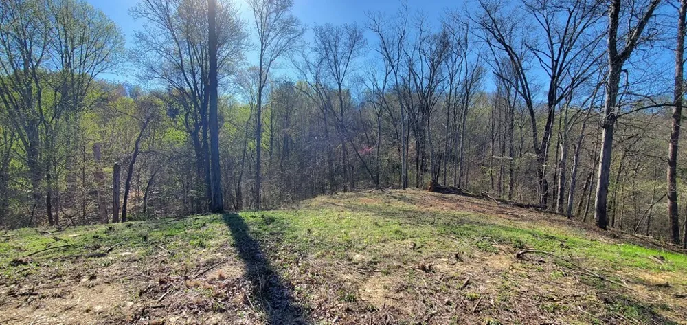 331 Chestnut Ridge Walland, TN 37886