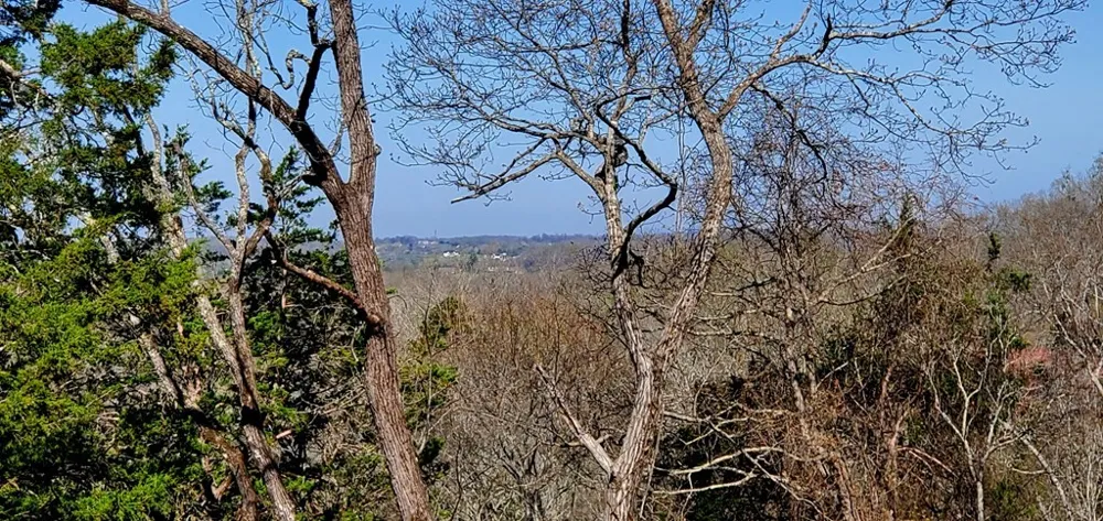 331 Chestnut Ridge Walland, TN 37886