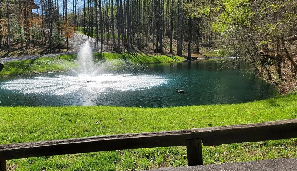 331 Chestnut Ridge Walland, TN 37886