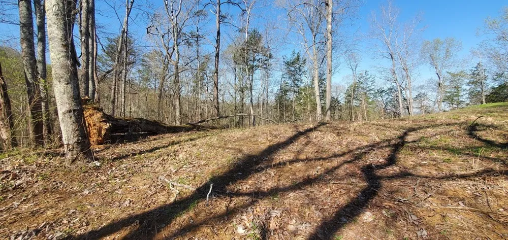 331 Chestnut Ridge Walland, TN 37886