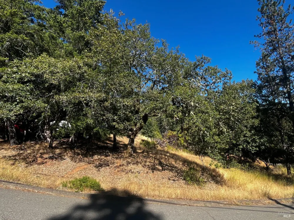 1721 Crawford Drive Willits, CA 95490