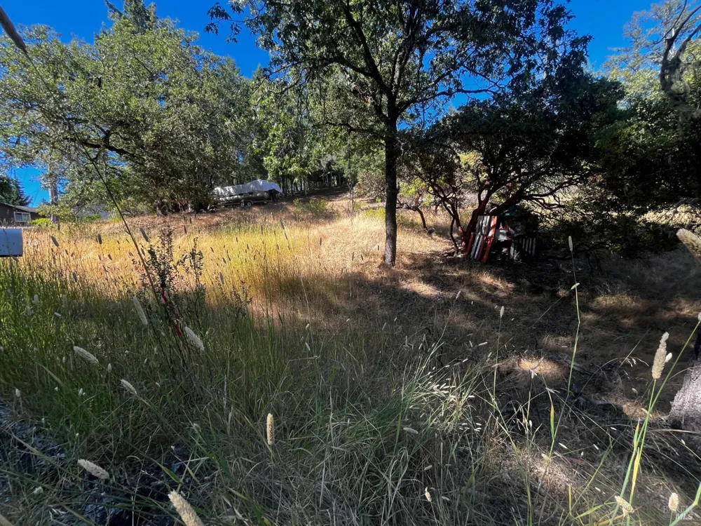 1721 Crawford Drive Willits, CA 95490