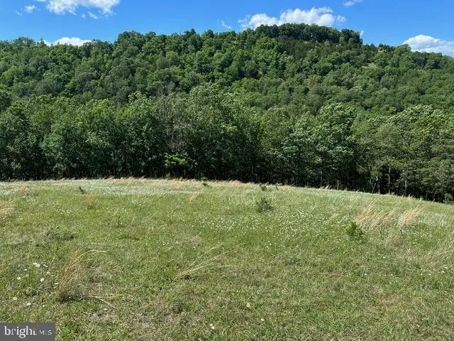 1096 STRAUTER ROAD Franklin, WV 26807