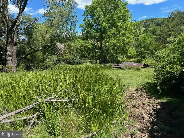 1096 STRAUTER ROAD Franklin, WV 26807