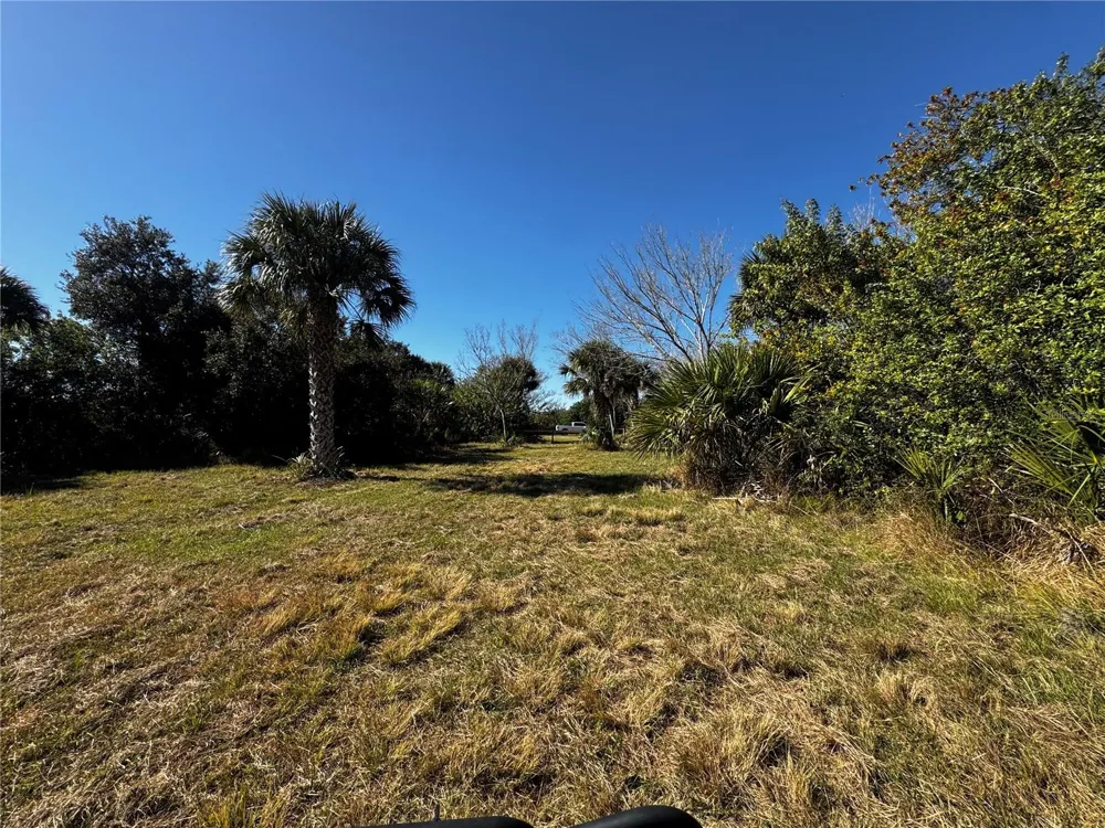 3100 GRANTLINE ROAD Mims, FL 32754