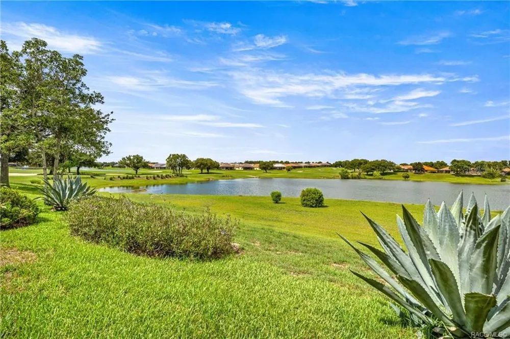 1328 W DIAMOND SHORE LOOP Hernando, FL 34442