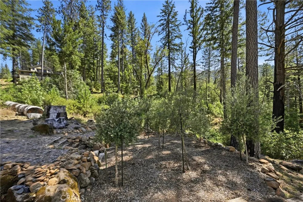 15590 Mesa Cobb, CA 95426