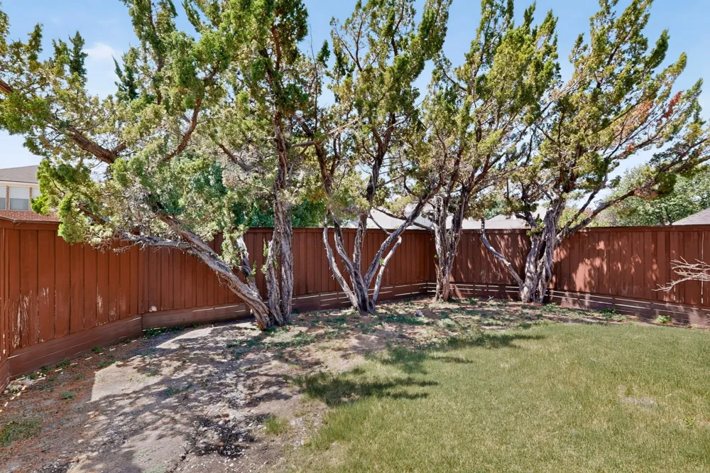 10201 Max Lane Frisco, TX 75035