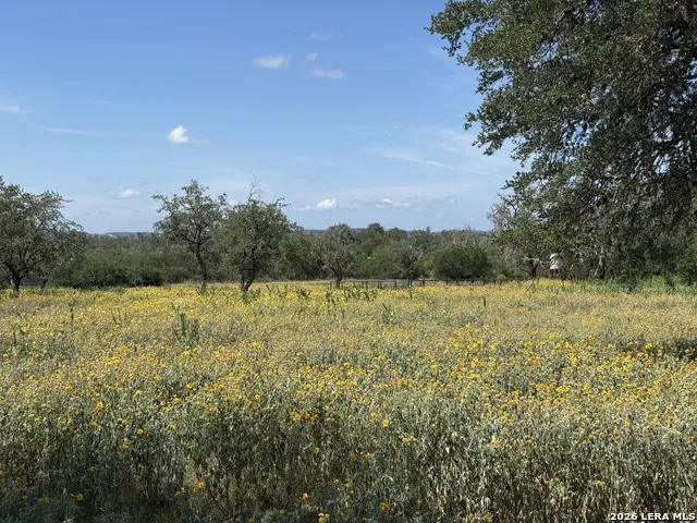 1864 Panther Hollow Bandera, TX 78003