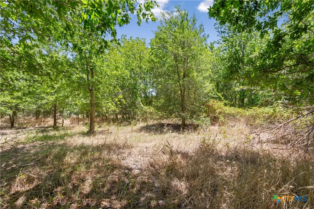 24485 E Avenue C Buckholts, TX 76518