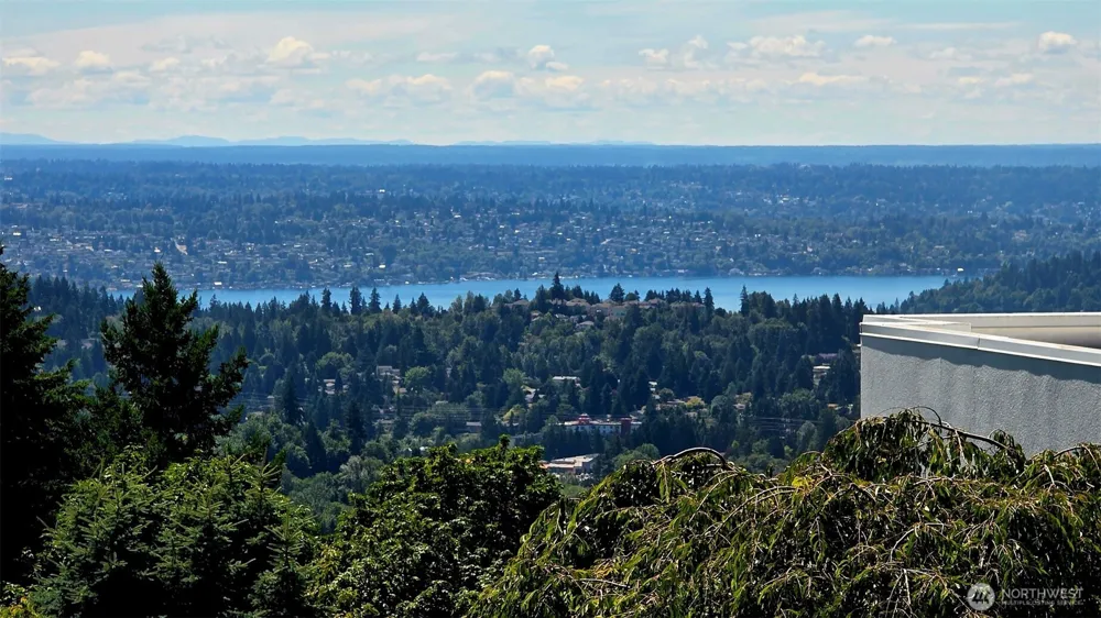 15423 SE 58th Street Bellevue, WA 98006