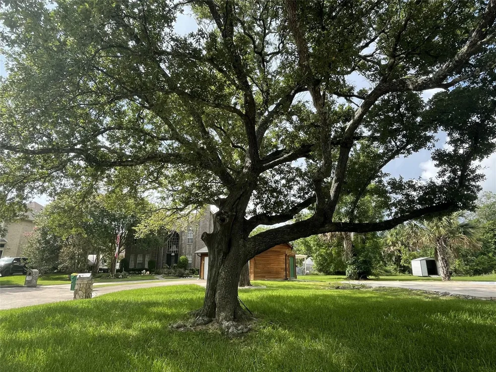 717 Quintana Roo Place Seabrook, TX 77586