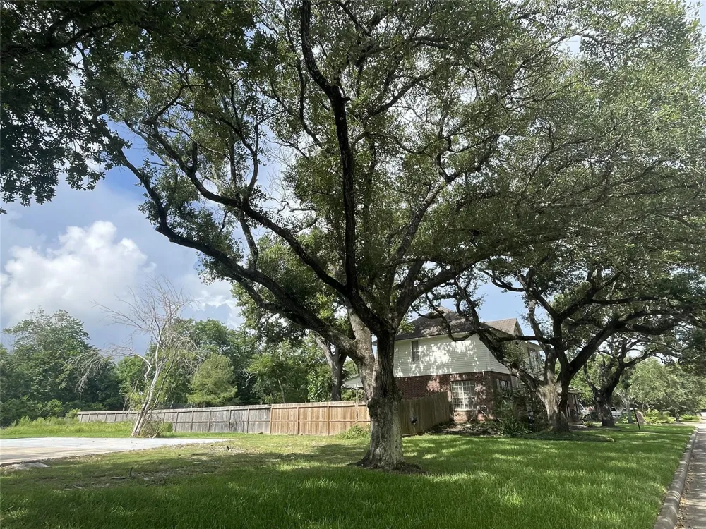 717 Quintana Roo Place Seabrook, TX 77586