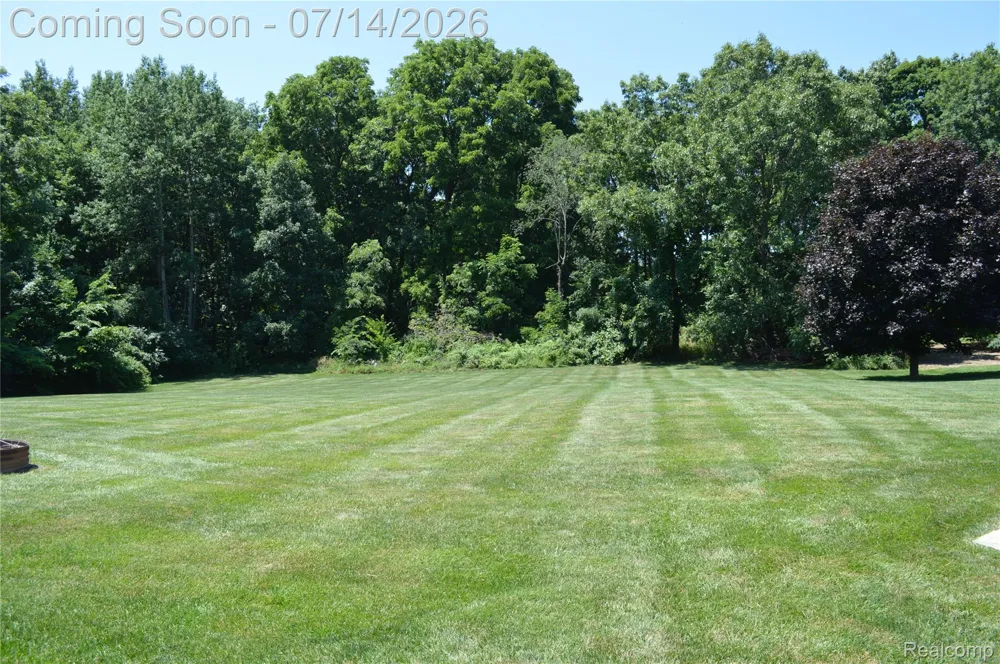 10055 Walnut Hill Drive Springfield Charter Township, MI 48350