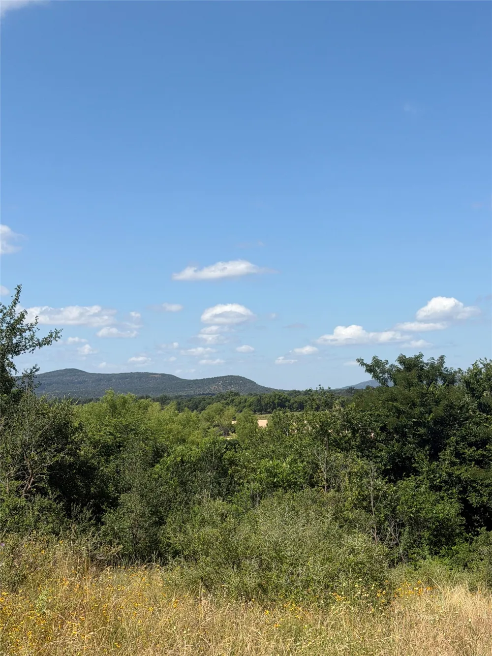 7152 River Oaks Drive Kingsland, TX 78639