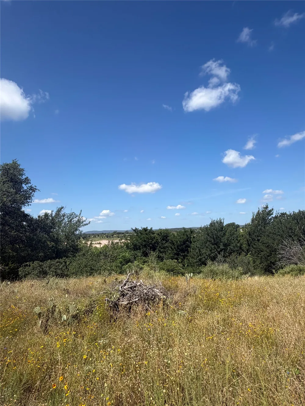 7152 River Oaks Drive Kingsland, TX 78639