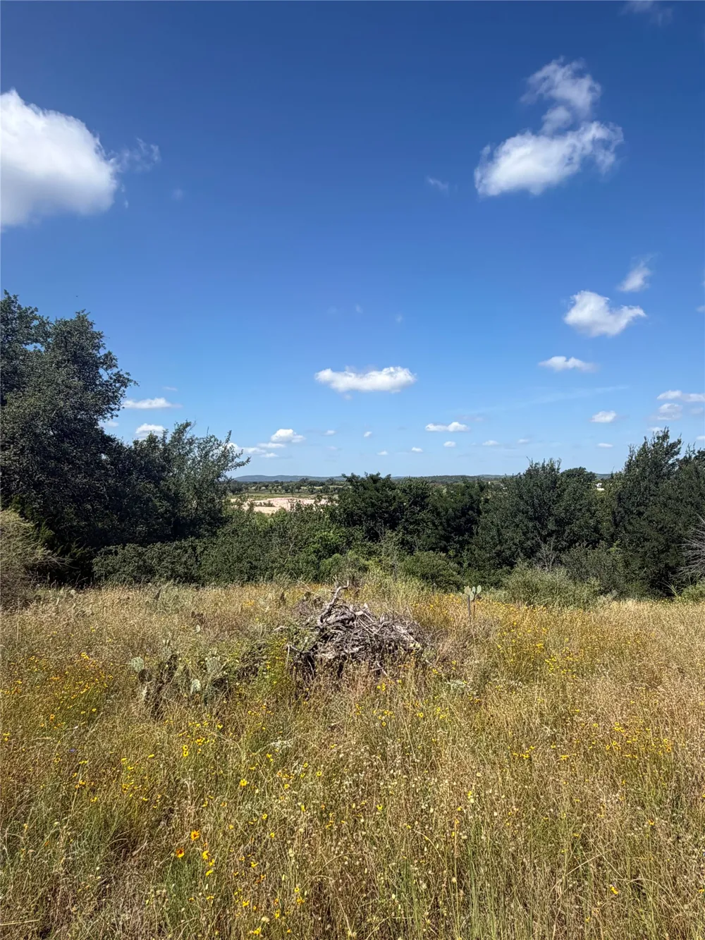 7152 River Oaks Drive Kingsland, TX 78639