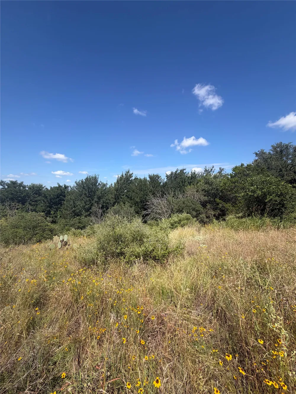 7152 River Oaks Drive Kingsland, TX 78639