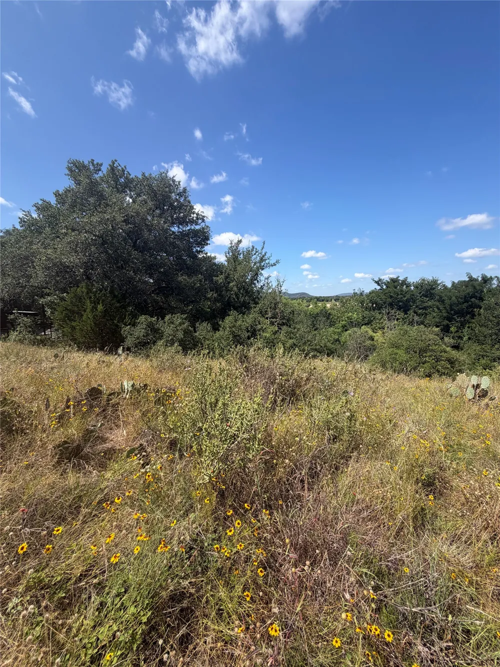 7152 River Oaks Drive Kingsland, TX 78639