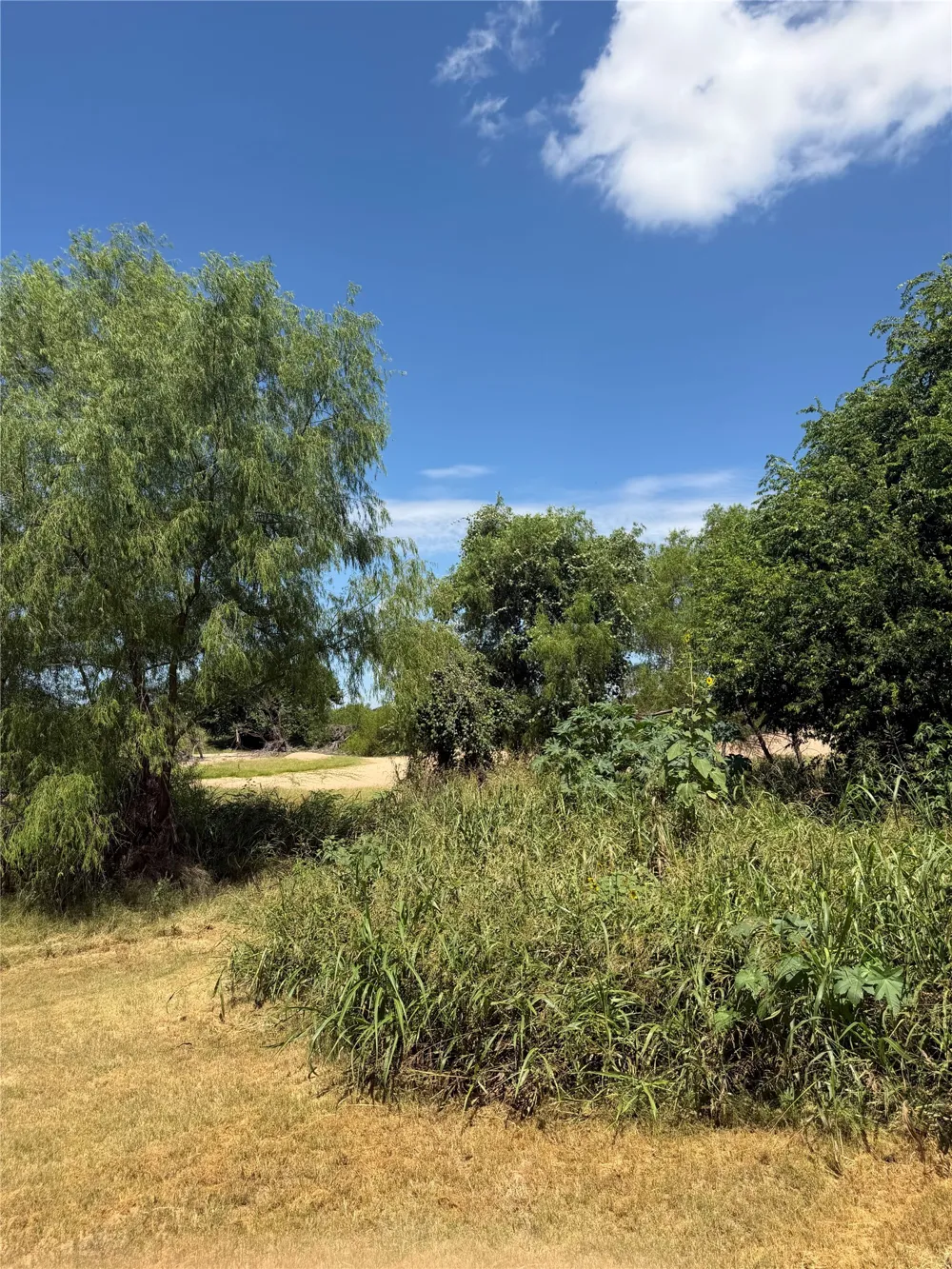 7152 River Oaks Drive Kingsland, TX 78639