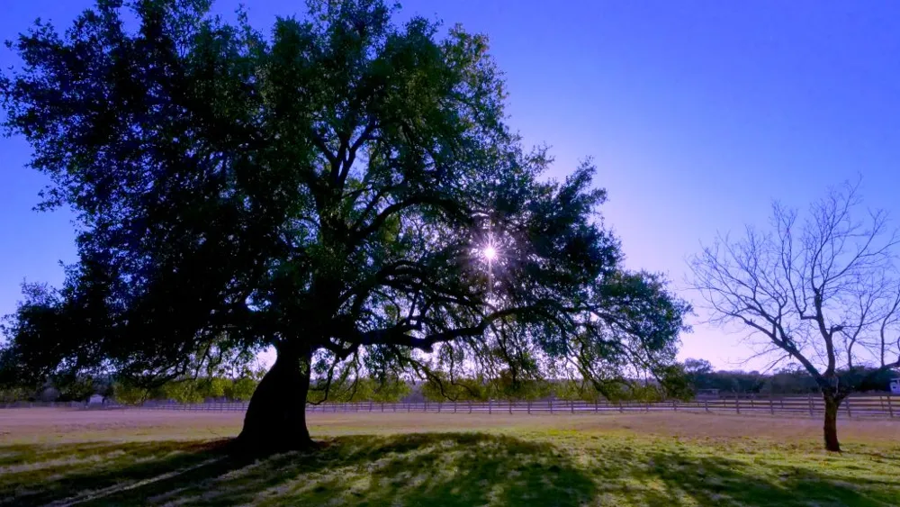 1115 County Road 414 Spicewood, TX 78669