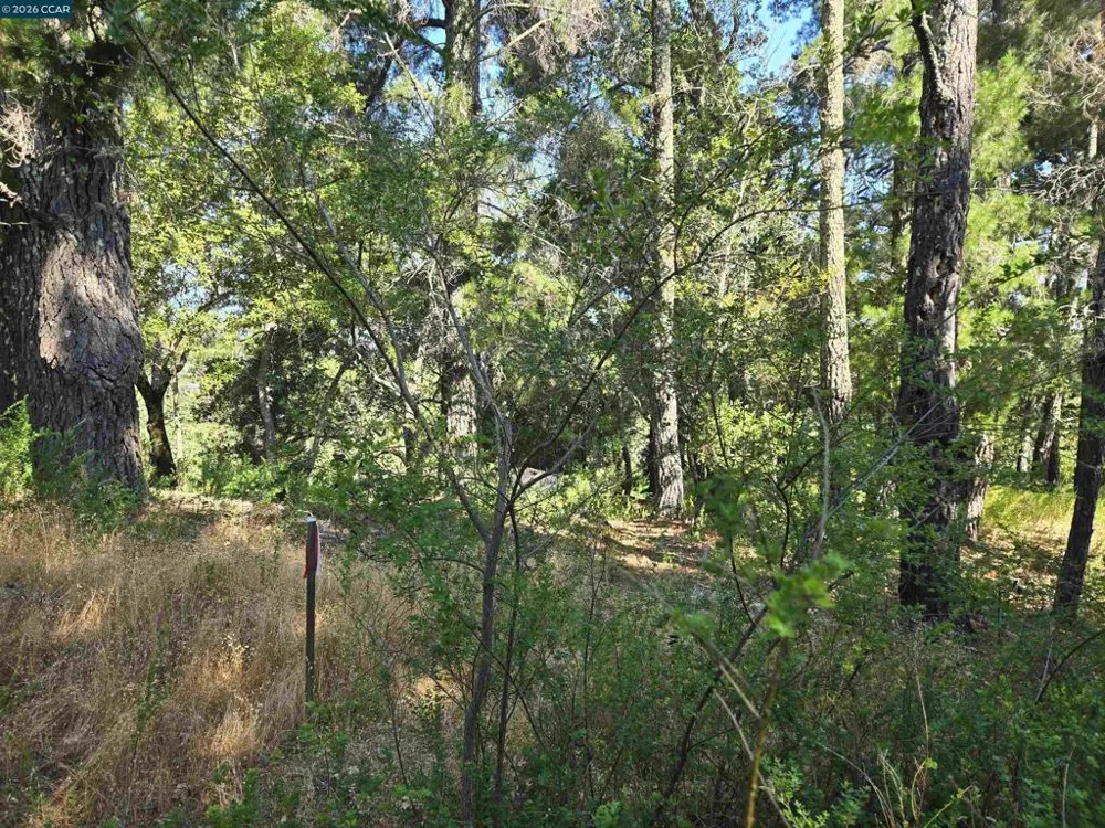 100 Black Log Rd Kentfield, CA 94904