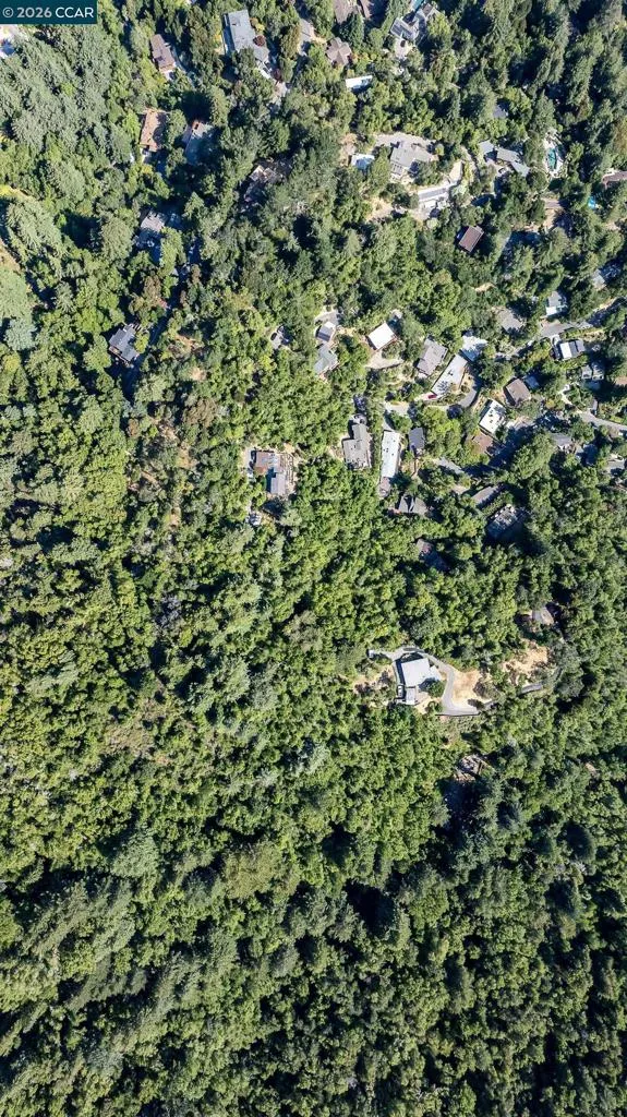 100 Black Log Rd Kentfield, CA 94904