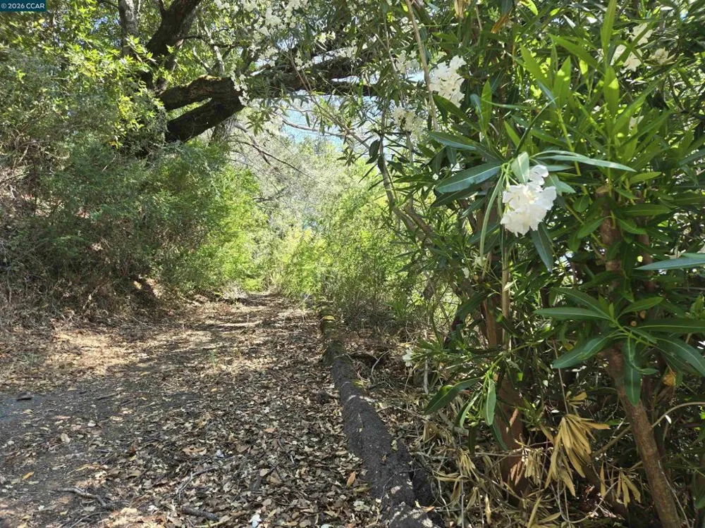 100 Black Log Rd Kentfield, CA 94904