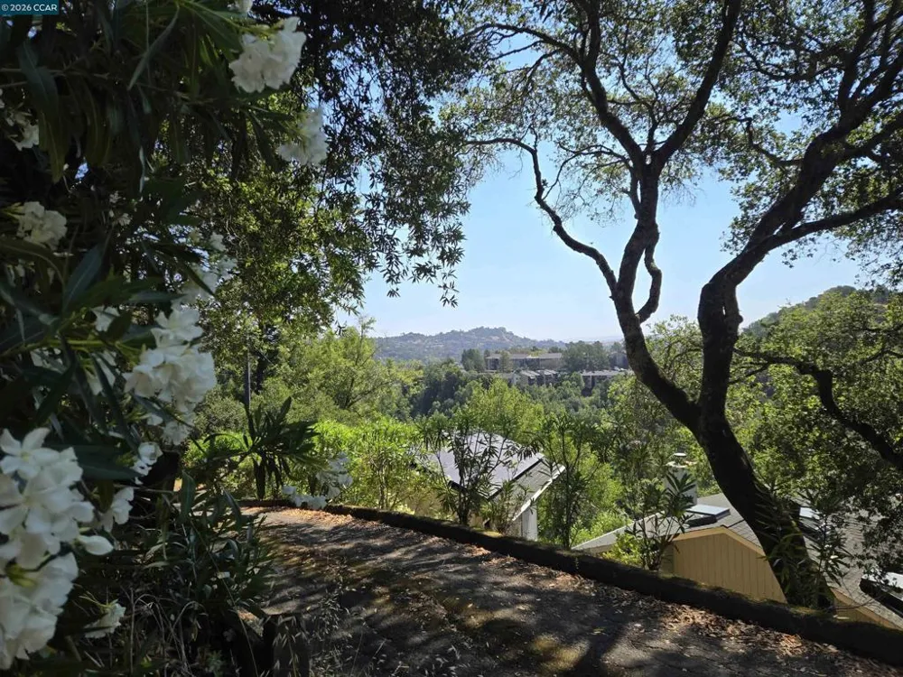 100 Black Log Rd Kentfield, CA 94904