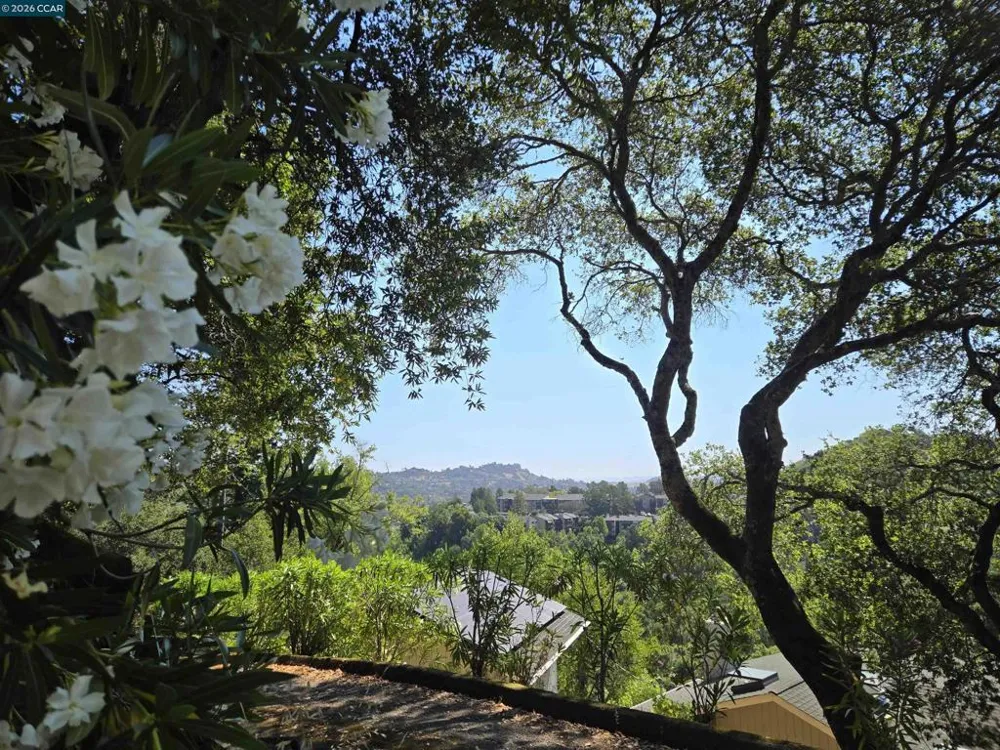 100 Black Log Rd Kentfield, CA 94904