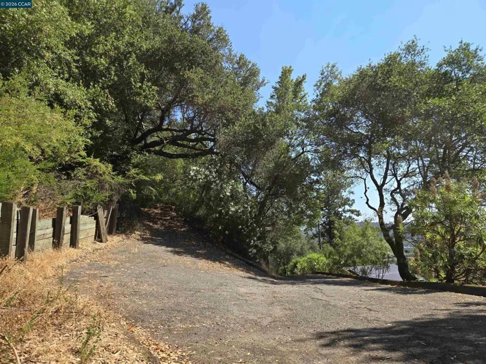 100 Black Log Rd Kentfield, CA 94904
