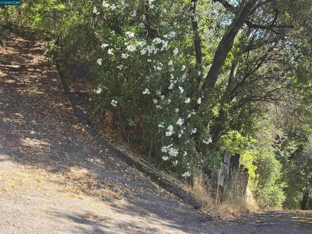 100 Black Log Rd Kentfield, CA 94904