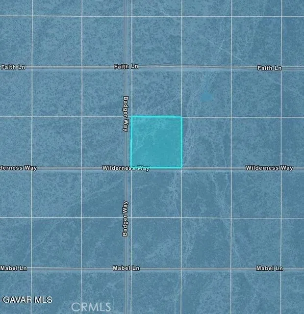 Charleston Ln & Badger Way Tecopa, CA 92389