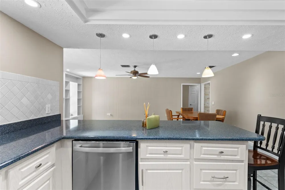 2311 LONG GREEN COURT Valrico, FL 33596