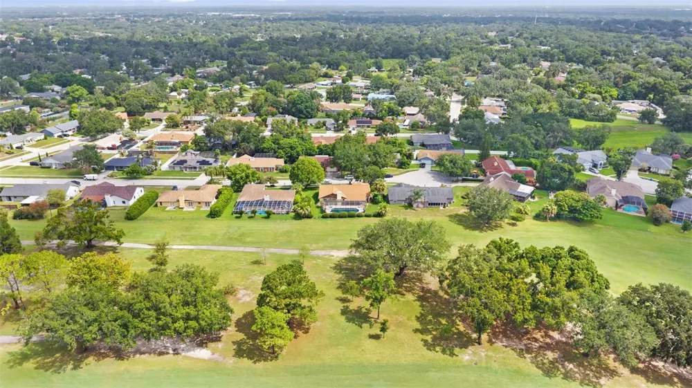 2311 LONG GREEN COURT Valrico, FL 33596