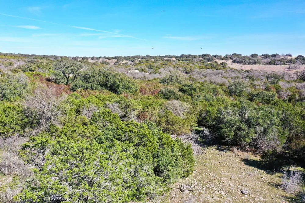 240 Pecan Branch Florence, TX 76527