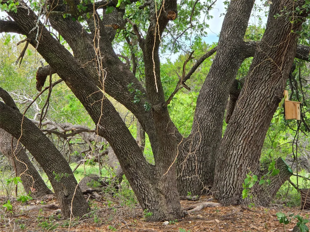 735 CR 206 Lampasas, TX 76550