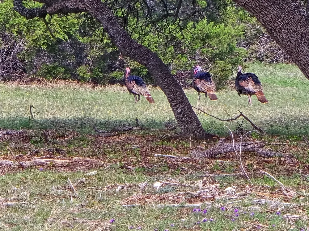 735 CR 206 Lampasas, TX 76550