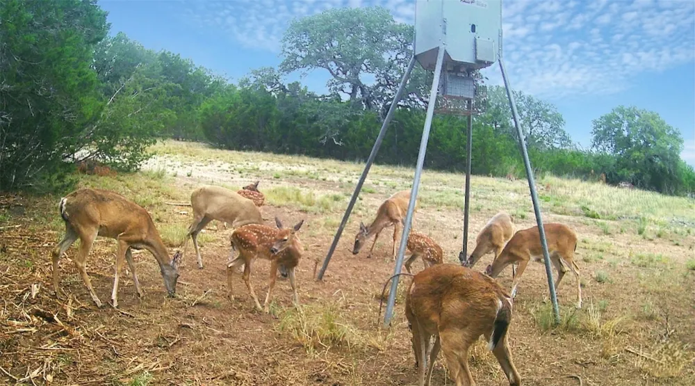 735 CR 206 Lampasas, TX 76550