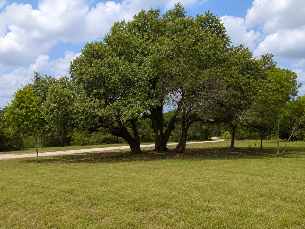 735 CR 206 Lampasas, TX 76550