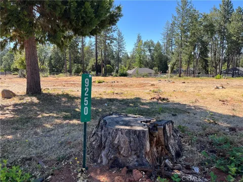 9250 Skyway Road