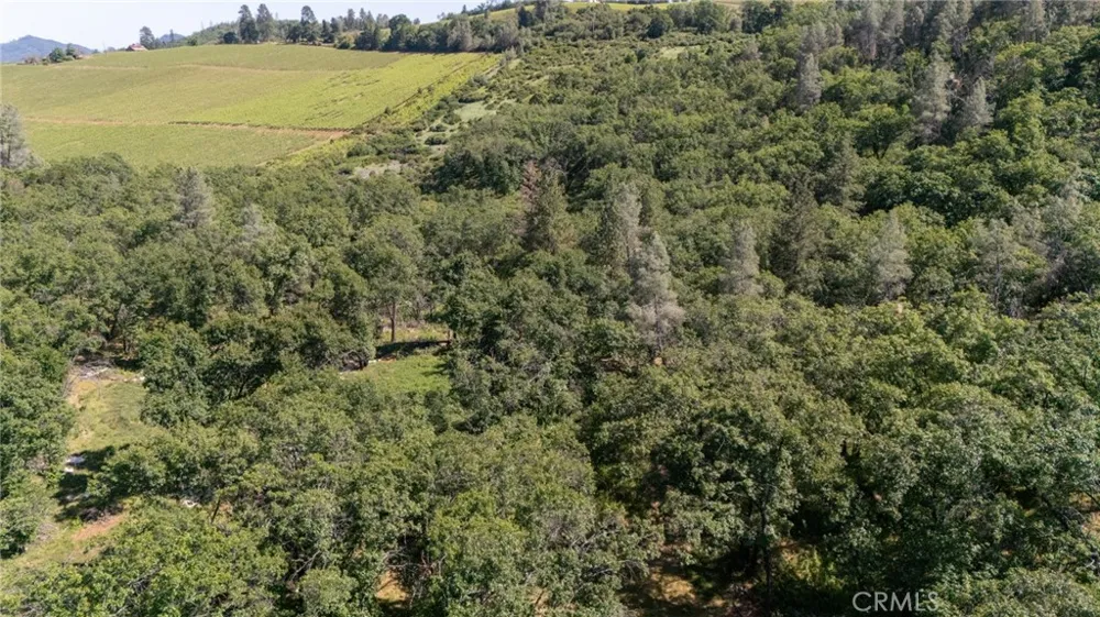 13520 Point Lakeview Lower Lake, CA 95457