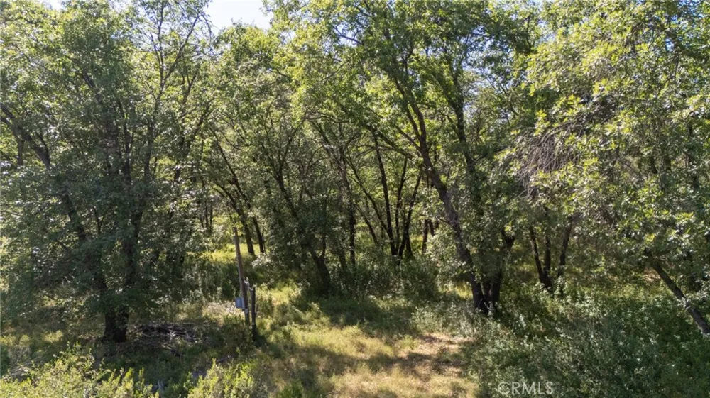 13520 Point Lakeview Lower Lake, CA 95457