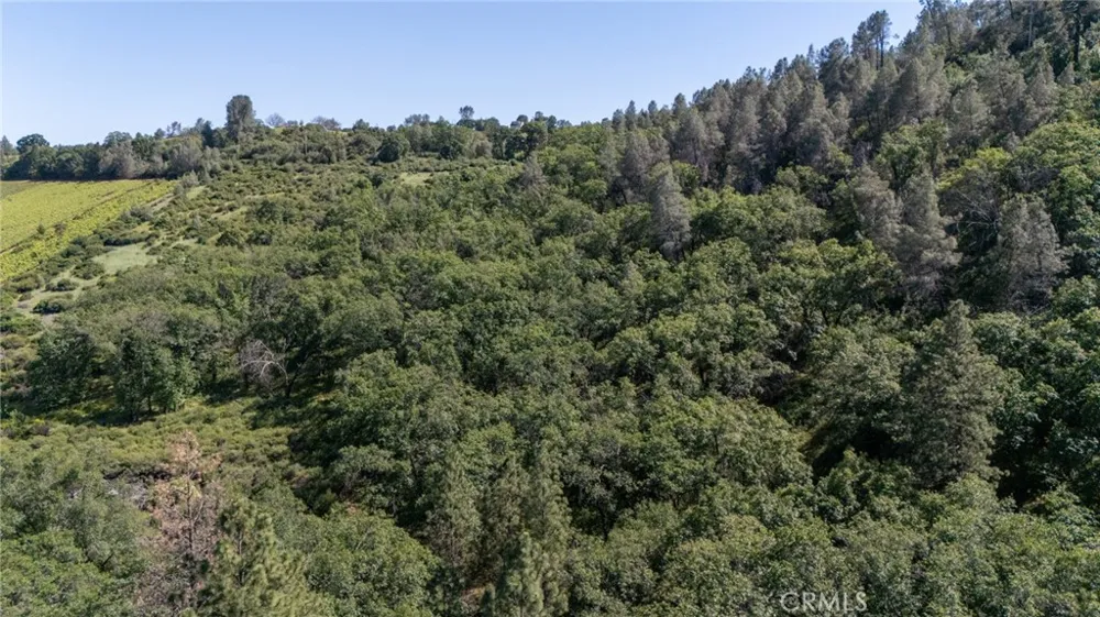 13520 Point Lakeview Lower Lake, CA 95457