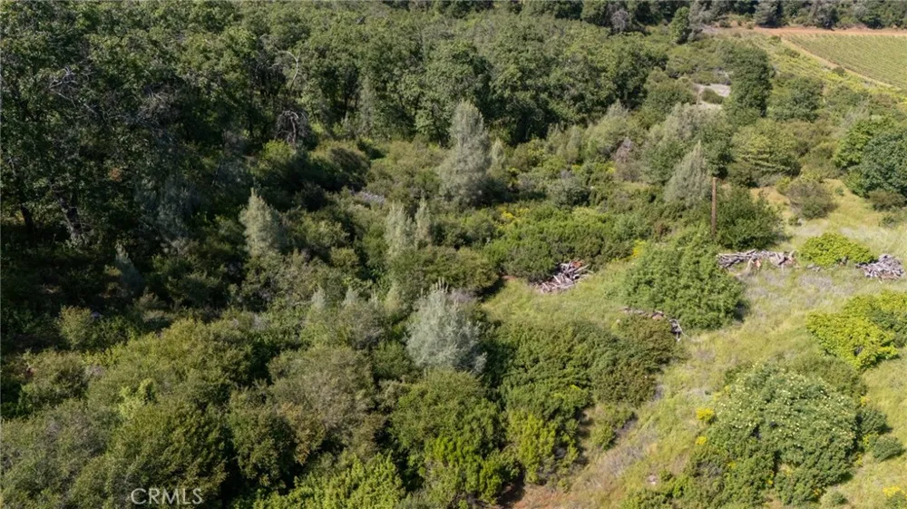 13520 Point Lakeview Lower Lake, CA 95457
